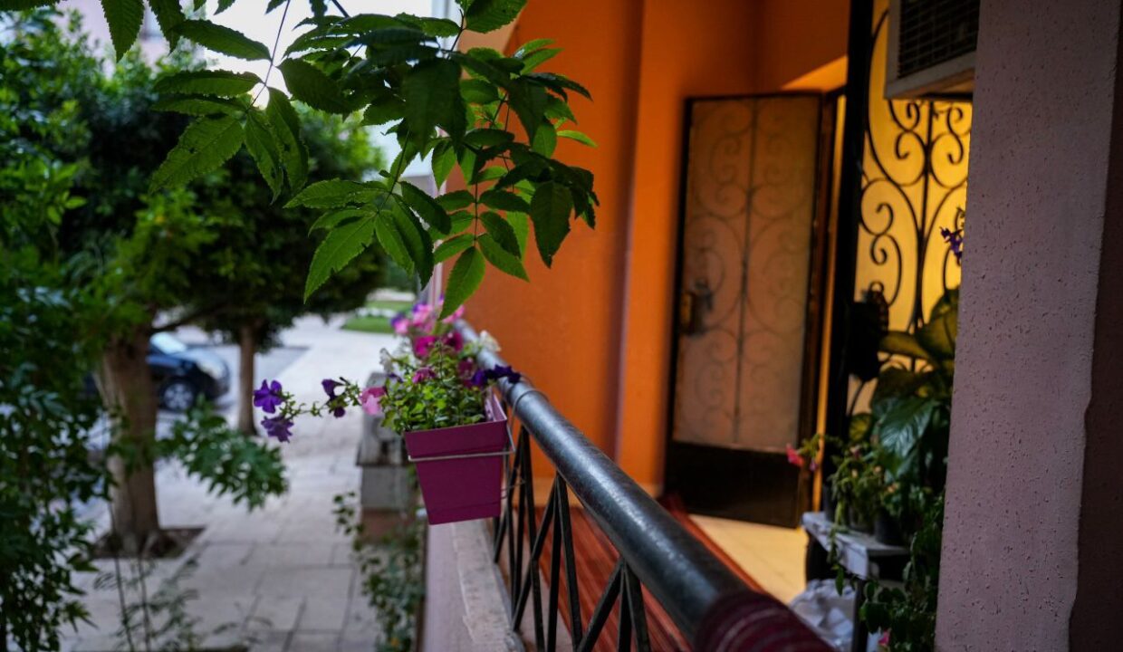 WhatsApp Image 2025-12-22 at 3.13.10 PM