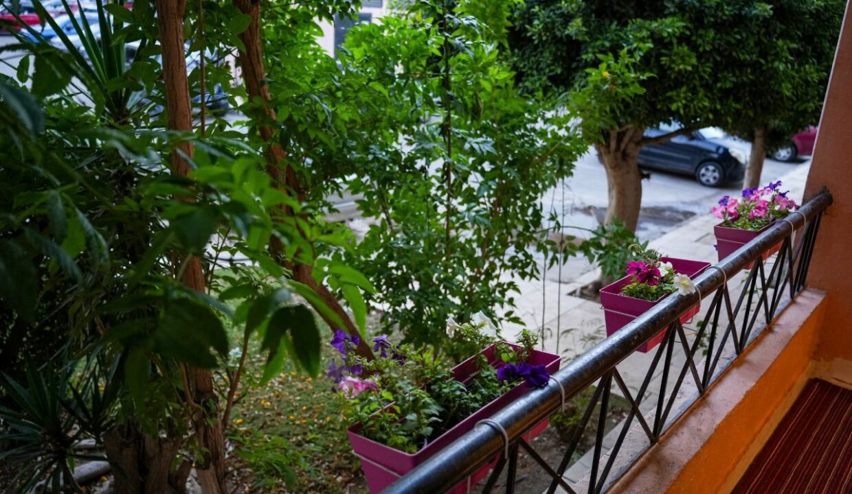 WhatsApp Image 2025-12-22 at 3.13.15 PM (1)