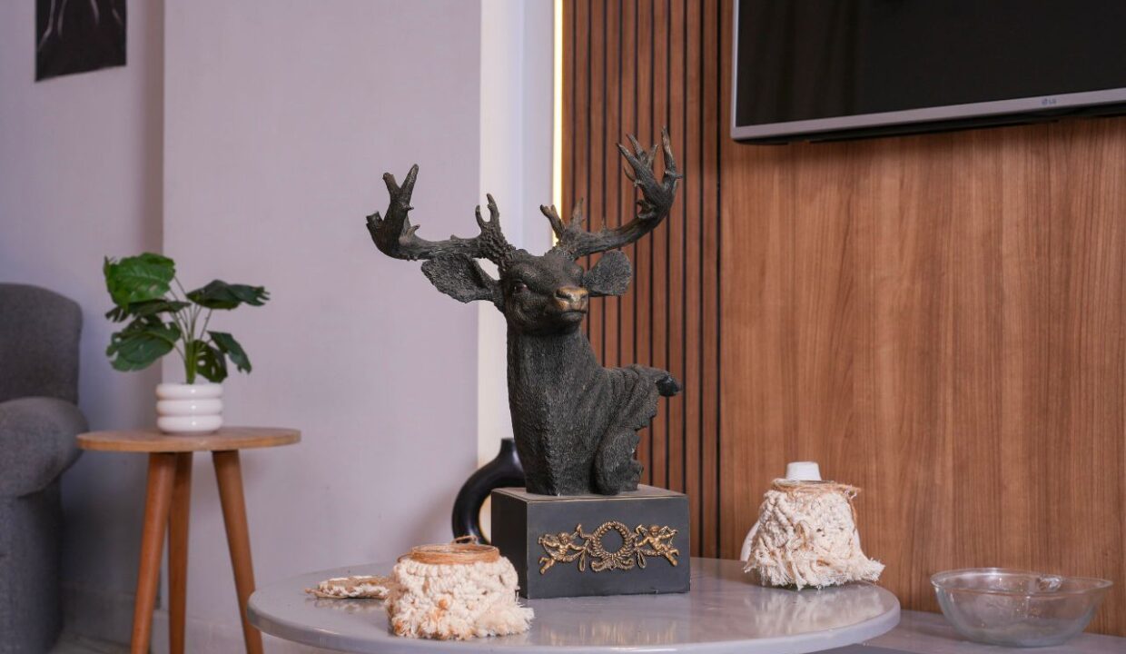 WhatsApp Image 2025-12-22 at 3.13.19 PM