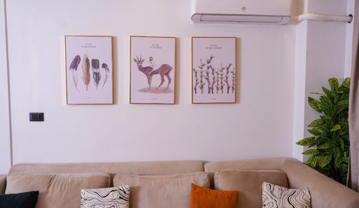 WhatsApp Image 2025-12-30 at 7.53.59 PM (1)