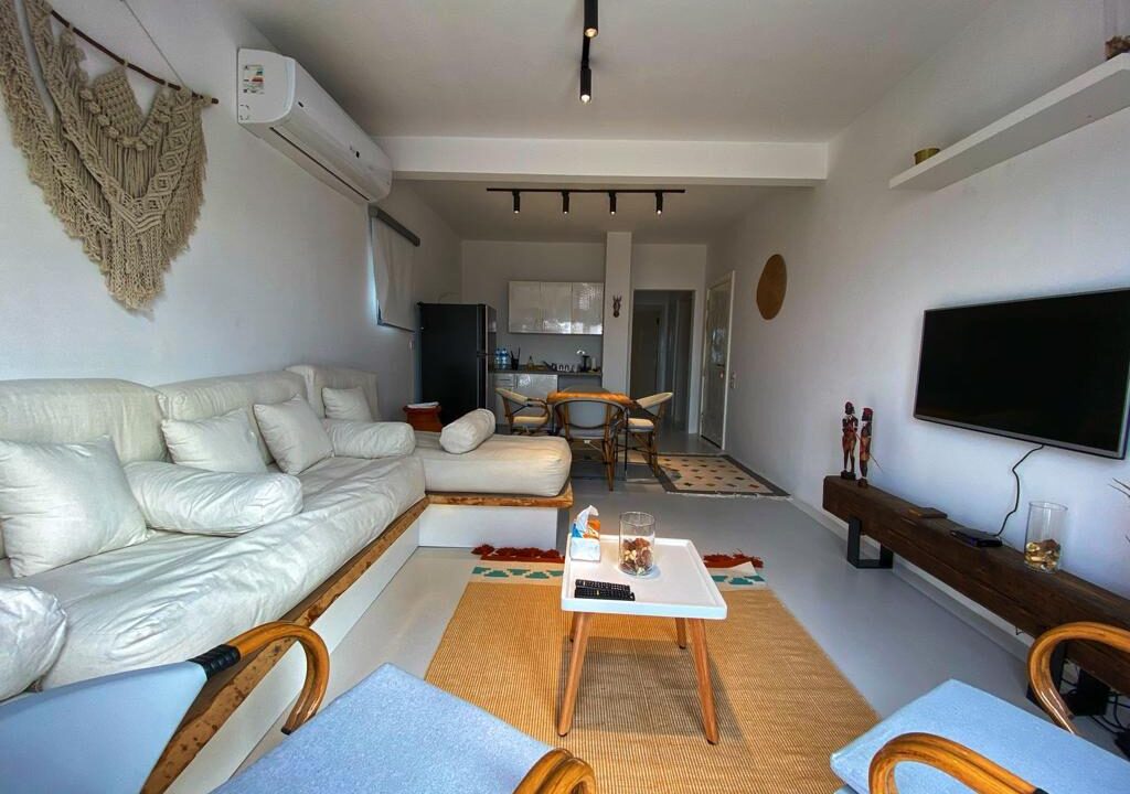 WhatsApp Image 2026-01-24 at 3.03.09 PM (1)