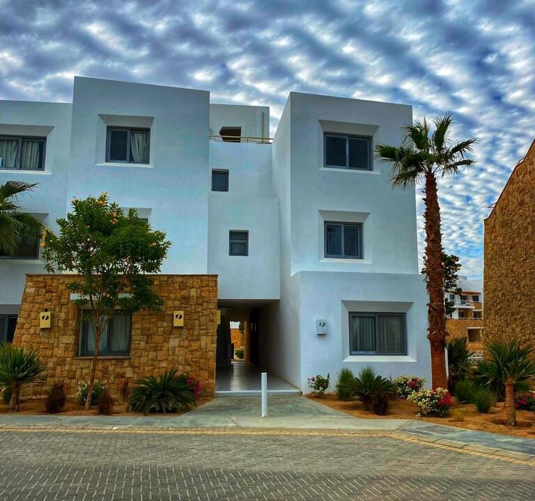 WhatsApp Image 2026-01-24 at 3.03.09 PM (5)